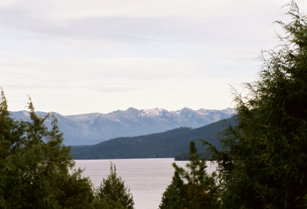 [Peeking through two trees to see a closer view of snow-capped mountains in the distance. In the mid-distance is a hillside full of evergreens with the lake lapping its lower edge.]